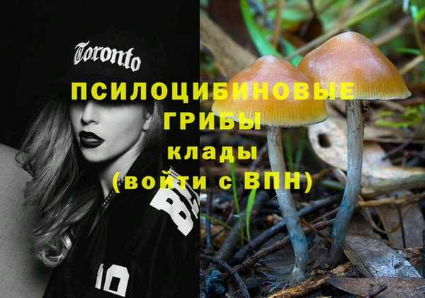 Альфа ПВП Верхний Тагил