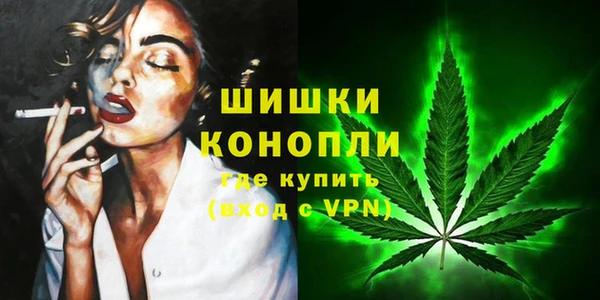 гидропоника Бугульма