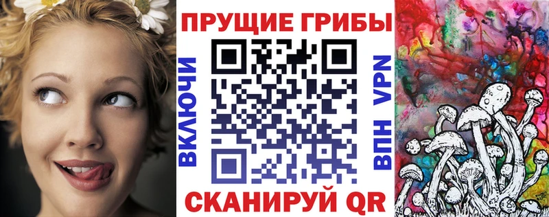 Галлюциногенные грибы Psilocybe  Купить закладки  Невель 